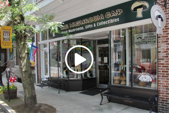 video 6abc Video