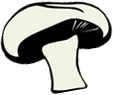 logo The Mushroom Cap