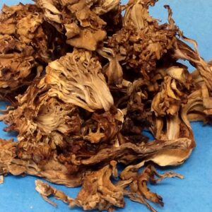 Kennett Square Grown Dried Maitake Mushrooms