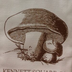 Kennett Square, PA Dish Towel