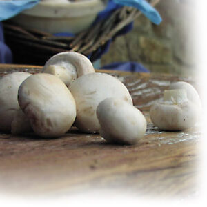 White Mushrooms $3.00 to $3.50 lb