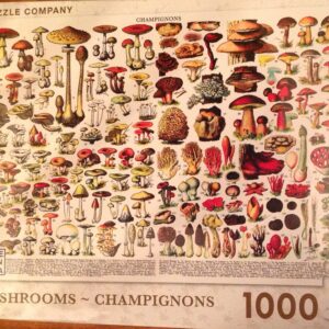 Mushrooms - Champignons Puzzle